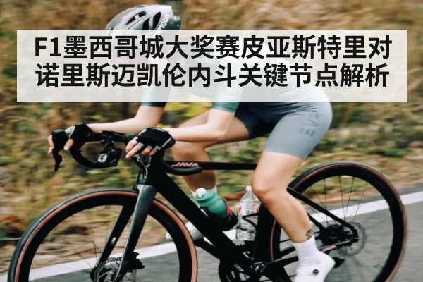 F1墨西哥城大奖赛皮亚斯特里对诺里斯迈凯伦内斗关键节点解析